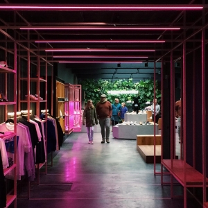 2019CXtrend-1